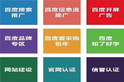 竞价账户优化：成功企业的广告策略揭秘